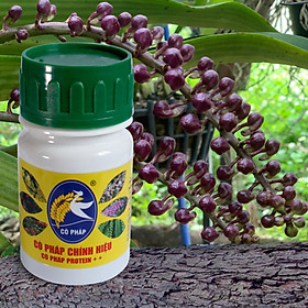 Mua Phân Bón Protein++ Đạm Dinh Dưỡng Hữu Cơ Dành Cho Cây Lan (100ML)
