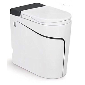 Mua BỒN CẦU ĐÁ CHÂN TỰ ĐÔNG R580E