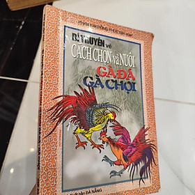 Bí truyền về cách chọn và nuôi gà đá gà chọi