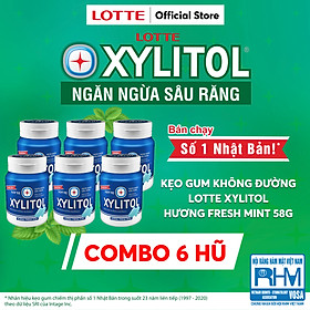 Combo 6 Kẹo Gum không đường Lotte Xylitol - Hương Fresh Mint 58 g