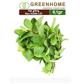 Hạt Giống Bạc Hà Âu Greenhome, Gói 0,1gr, Húng Lũi Dễ Trồng Quanh Năm, Nảy Mầm Cao, Thu Hoạch Nhanh, Năng Suất Cao G02