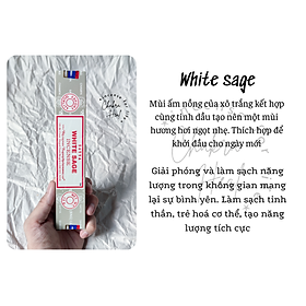 Mua White Sage Satya Incense Hương Xô Thơm Trắng Làm Sạch Năng Lượng l Chakra Heal Incense - Cây