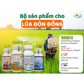 Bộ sản phẩm giúp LÚA ĐÓN ĐÒNG hiệu quả, tiết kiệm chi phí