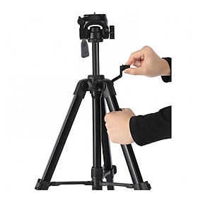 Mua Chân máy ảnh Benro T890 - Hàng chính hãng