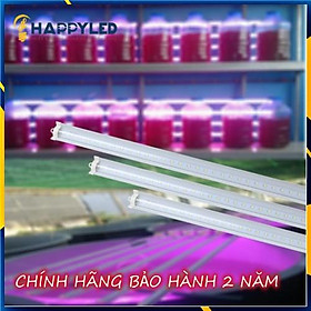 Hình ảnh Đèn LED Trồng Cây, Đèn Quang Hợp Trồng Rau, Hoa và Cây Cảnh Trong Nhà, Đảm Bảo Chính Hãng Chất Lượng Cao