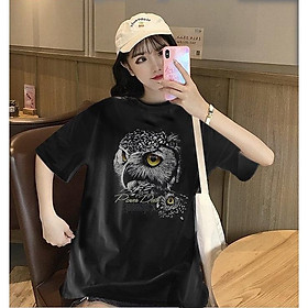 Áo thun cao cấp, có Bigsize từ S đến 8XL, vải cotton mịn, mặc thoáng mát, mẫu ATNN98- Thời Trang Waoo