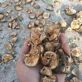 Mua 1kg lá+1kg quả bình bát khô