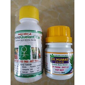 Mua Bộ sản phẩm chăm sóc cây sứ thái mập thân to lá ( Amino Ca -100ml + VK humat- 50ml)