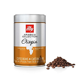 Cà phê hạt đã rang illy Coffee Arabica Original Ethiopia 250gr Whole Bean - Tinh tế và thơm với hương hoa nhài nhẹ nhàng.