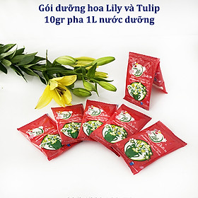 Mua Thuốc cắm hoa Lily lâu tàn nhập khẩu Israel (1 hộp 5 gói  pha 50L nước că) hiệu Longlife Bulbs Premium 2023 giúp hoa tulip và hoa lily tươi gấp 2 lần và 14 ngày không thay nước