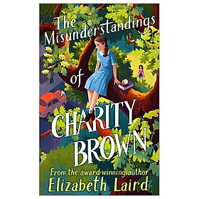 The Misunderstandings Of Charity Brown - Macmillan Publishers