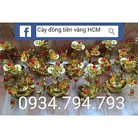 Cây kim tiền tài lộc mini kiểu sang trọng 80k , cây có nhiều size theo nhu cầu !