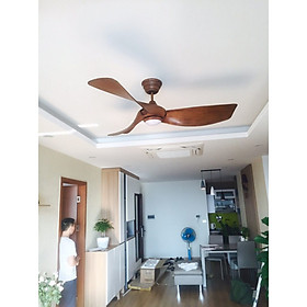Mua Quạt trần Melody- quạt trần MR.VU hàng nhập khẩu cao cấp
