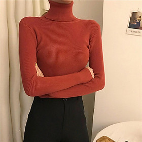 Fashion Women Autumn Winter Knitted Sweater Ribbed Long Sleeve Turtleneck Slim Jumper Soft Warm Pullover Tops