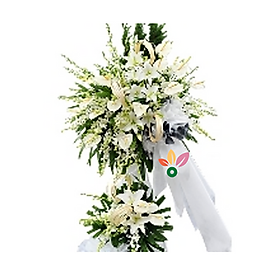 Mua Hoa Chia Buồn Ký Ức Xưa – 335
