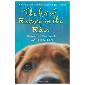 [Download Sách] The Art of Racing in the Rain