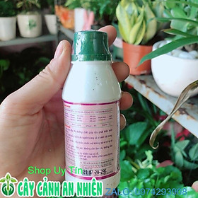 Dung Dịch Dinh Dưỡng Thuỷ Sinh