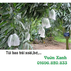 Mua 100 túi bọc xoài  thanh long  ... kich thước 20x26 cm
