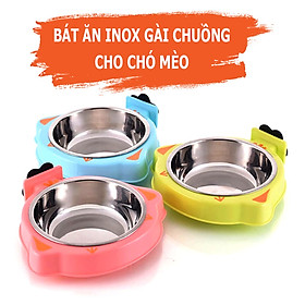 Dụng cụ ăn uống dành cho chó