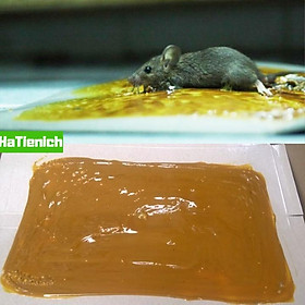 Mua 5 Keo Bẫy Chuột Loại Nhiều Keo  Keo Siêu Dính  Keo Có Mồi - Hà Tiện Ích