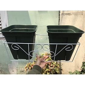 Combo 2 Chậu Kiểm Soát Rễ Clematis Và 1 Giỏ Treo Chậu Ban Công