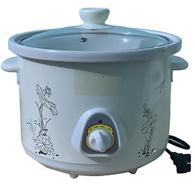 Mua Nồi Tiềm Nấu Cháo Chậm Kho Cá Hầm Chưng Yến Đa Năng - Màu Ngẫu Nhiên - Hàng Chính Hãng