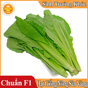 Hạt giống Cải Bẹ Xanh Mỡ Cao Sản ( Gói 20 Gram ) - Nông Sản Vàng