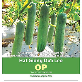  5 Gram Hạt Giống Dưa Leo Lai F1