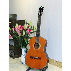 Mua Đàn Guitar Classic Sol.G SCG03 Nâu Đỏ