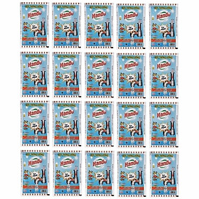 Bộ 20 gói bột thông cống Hando TI485