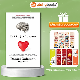 Trí Tuệ Xúc Cảm (Emotional Intelligence)