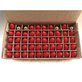 Mua combo 50 chiếc bóng đèn nhót đỏ  TP1056