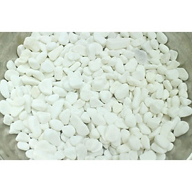 Mua Sỏi trắng trang trí tiểu cảnh-gói 500g