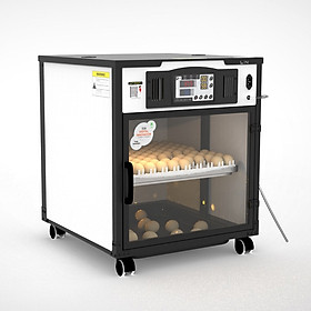Mua Máy ấp trứng Delta - H1  100 trứng  - Hàng chính hãng LIN