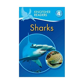 Kingfisher Readers Level 4 Sharks