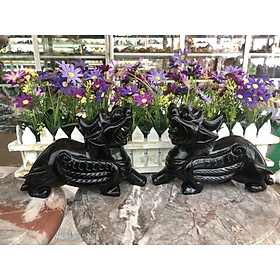 Mua Cặp Tỳ Hưu phong thủy đá thạch anh đen - Dài 20 cm