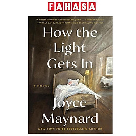 Sách ngoại văn: How The Light Gets In
