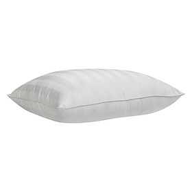 Mua Ruột Gối Nằm Tơ Tằm Cao Cấp Edena Edrgtt (45 x 65 cm)