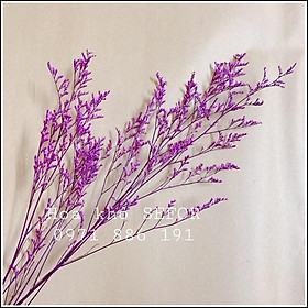 Mua Hoa Sao khô (Cỏ tình nhân) màu tím cực đẹp & sang