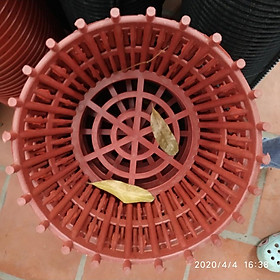 5 CHẬU NHỰA GIẢ GỖ TRỒNG LAN PHI 30