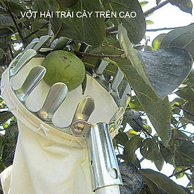 Mua Dụng cụ hái trái cây trên cao tiện dụng với khung kim loại dày dặn  túi vải