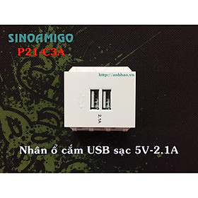 Ổ cắm usb type C âm tường Sinoamigo P21-QC1 (gồm 1 ổ USB-A + 1 ổ USB-C), lắp vừa mặt Panasonic chuẩn Wide (loại to)