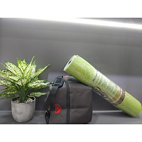 Thảm Yoga TPE 	Procare