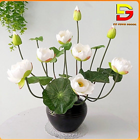 Mua Bình Hoa Sen Lụa Cao Cấp Hoa Giả Decor Cao 50cm Trang Trí Bàn Trà Kệ Tủ DG-103