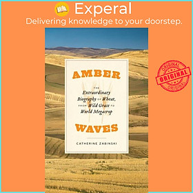 Sách - Amber Waves - The Extraordinary Biography of Wheat, from Wild Grass by Catherine Zabinski (UK edition, paperback)