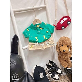 Set áo thun quần túi hộp in hình siêu cưng 8-16kg