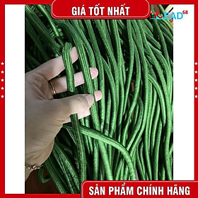 Mua 10m Dây dù tròn xanh to 10mm chịu tải lớn