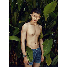 COMBO 3 QUẦN SHORT NAM DAVIE DVS01