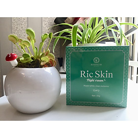 Kem Nám Đêm Ric Skin Kohinoor 30Gr, Giải Pháp Tối Ưu Cho Làn Da Sạm Nám