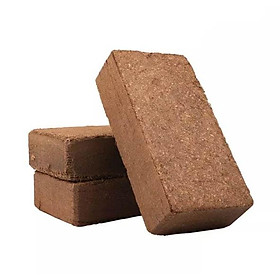 1 viên xơ dừa ép khối 500gr ngâm nở để trồng rau, mai, cây cảnh